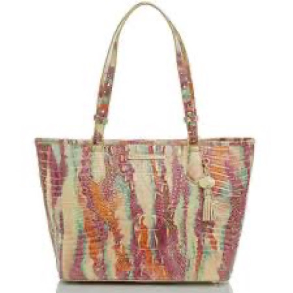 Brahmin Multicolor Bag